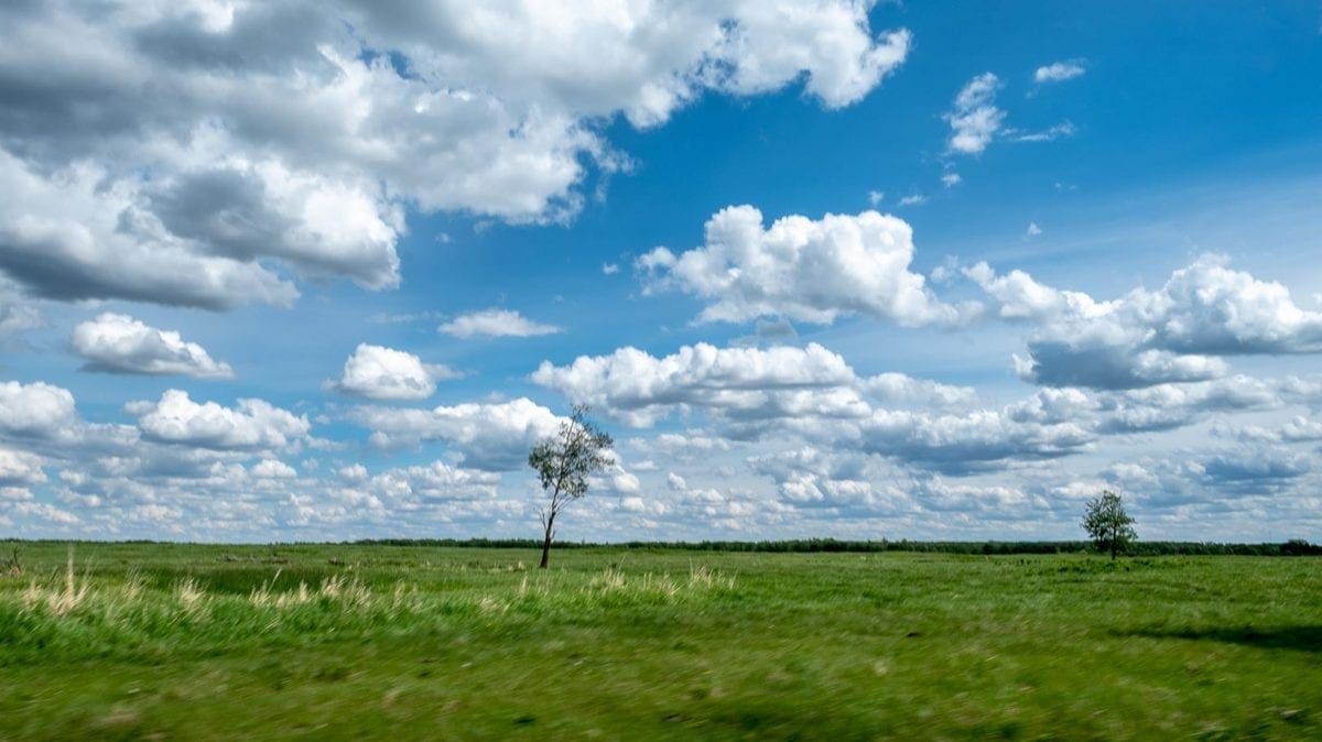 Elk Island, Canada | ©Lisa Zillio