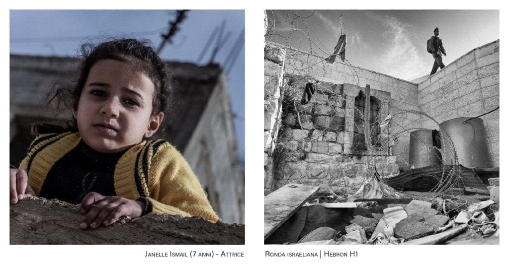 The Olive Tree | ©Gabriele Orlini, 2019