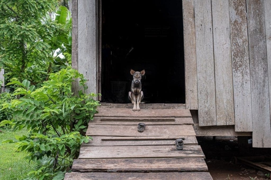 Kaoh Trong, Cambogia | ©2019, Gabriele Orlini