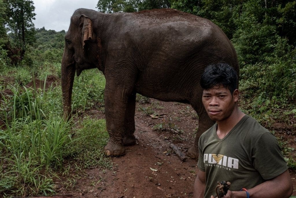 Mahut with his elephant