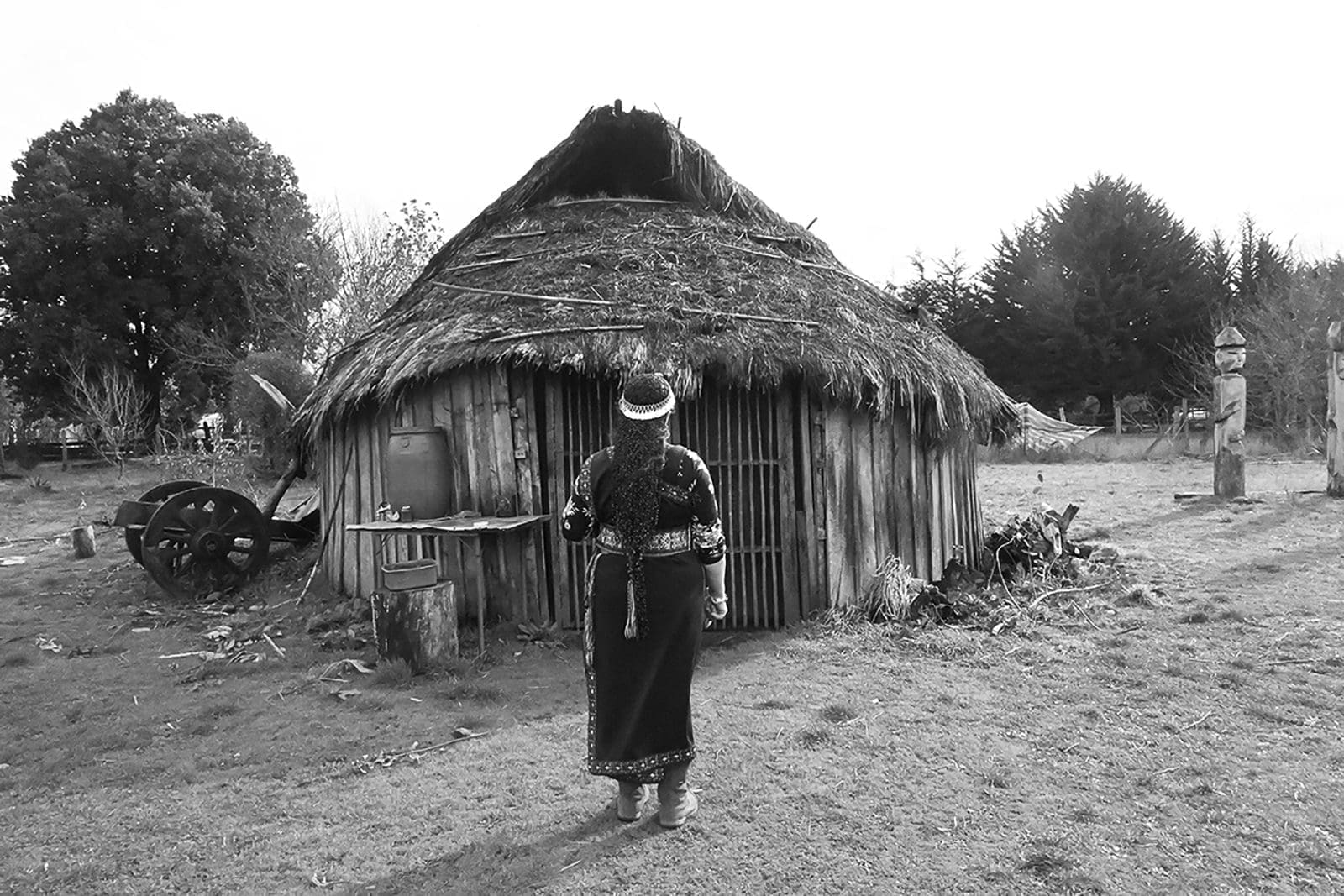 Newen, ©Nias Zavatta