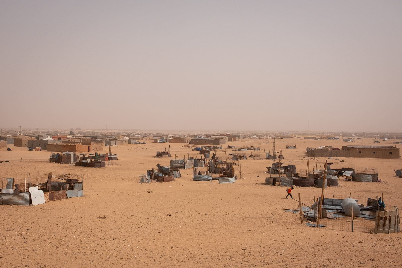 Saharawi, Algeria
