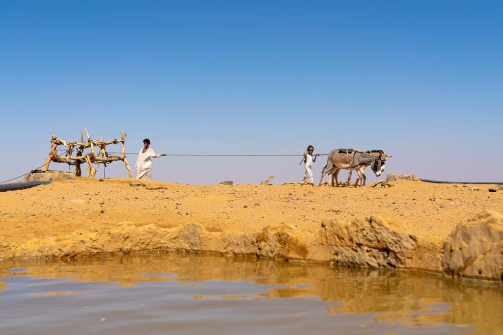 Sudan - ©Marco Marcone