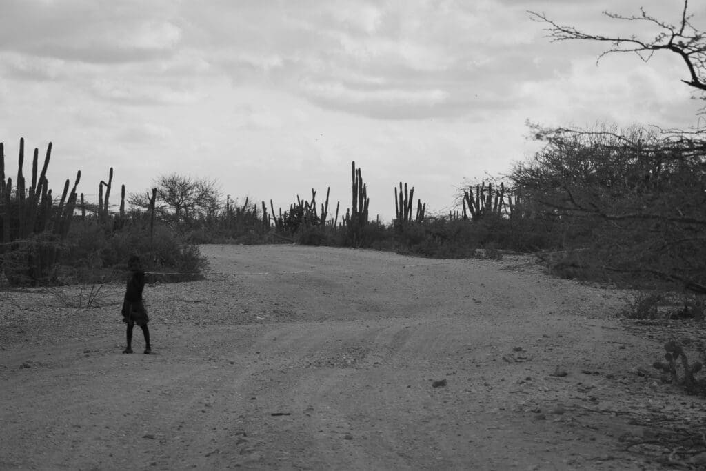 La tierras de los muertos