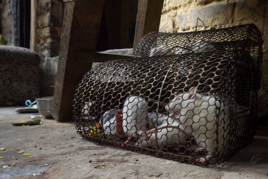 Kathputli Slum - Delhi (India)
