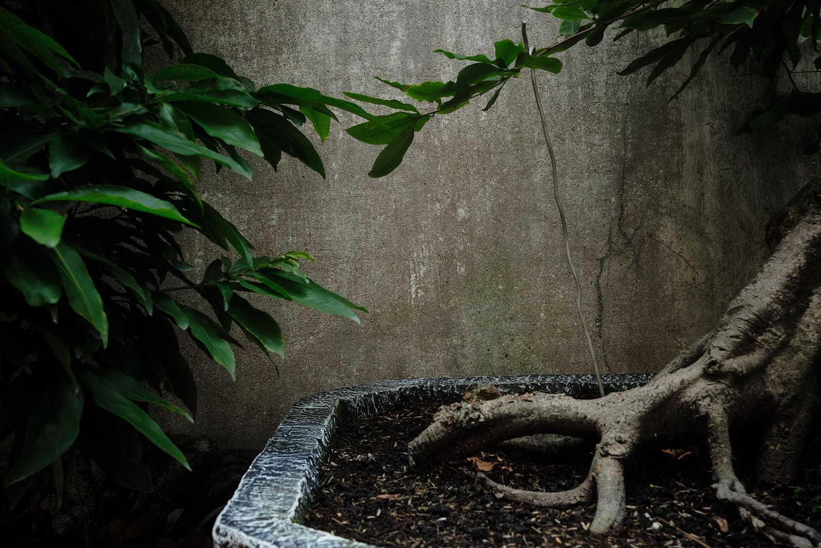 Can Tho, Vietnam