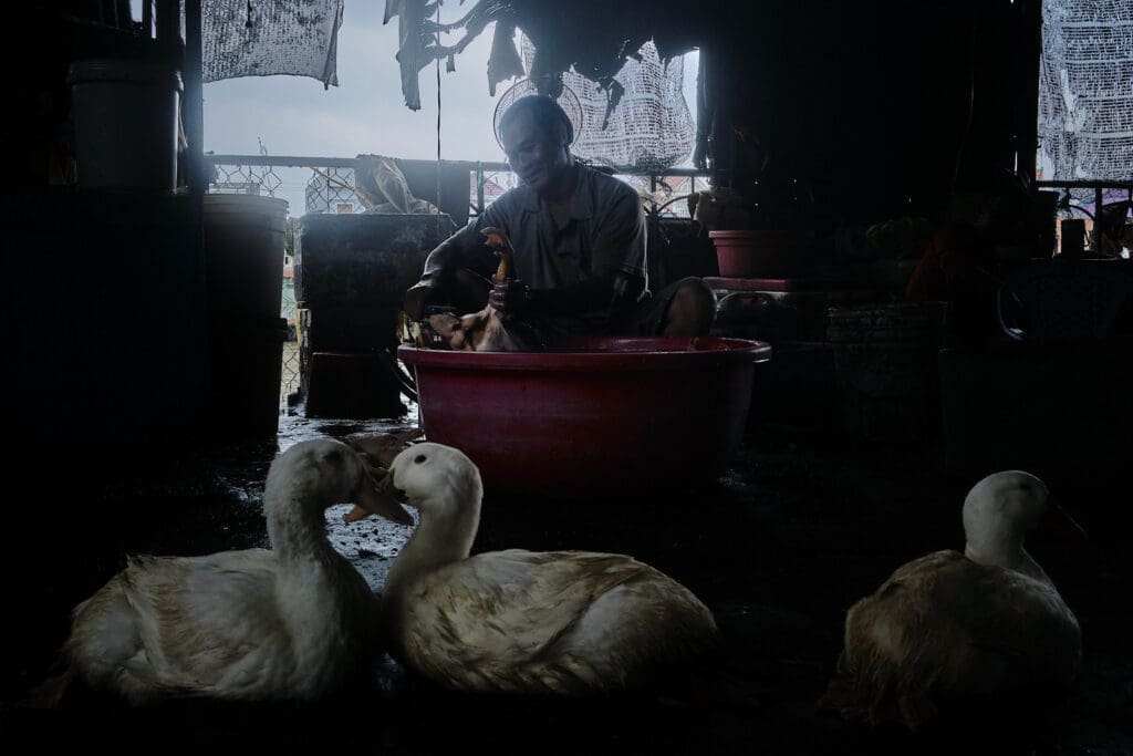 Vinh Long Market - ©Fabio Lovati, 2024