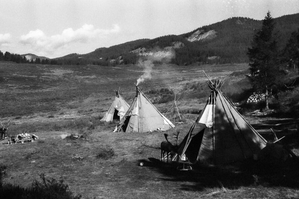 Tsaatan