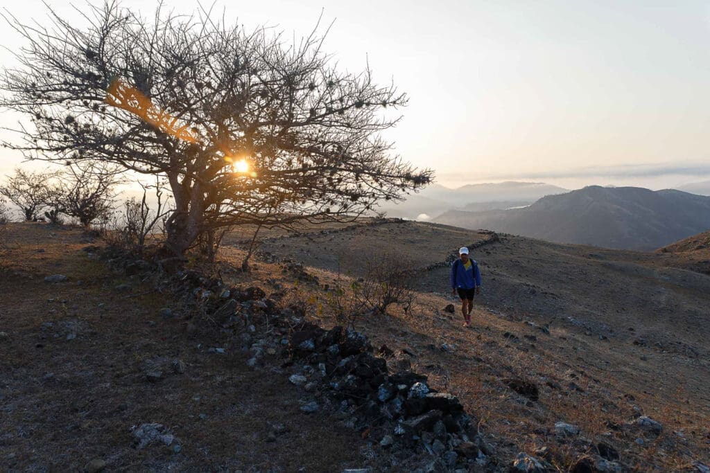 The Guatemalan Alien